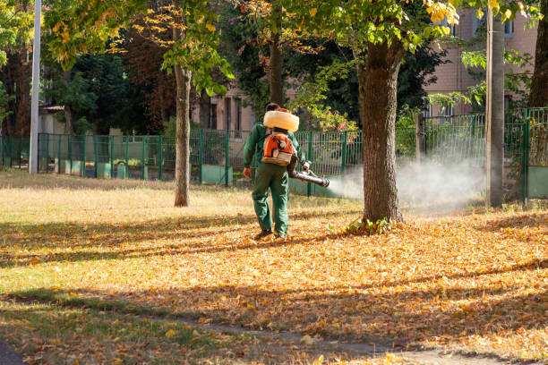 Best Pest Removal Services  in Wellsville, OH